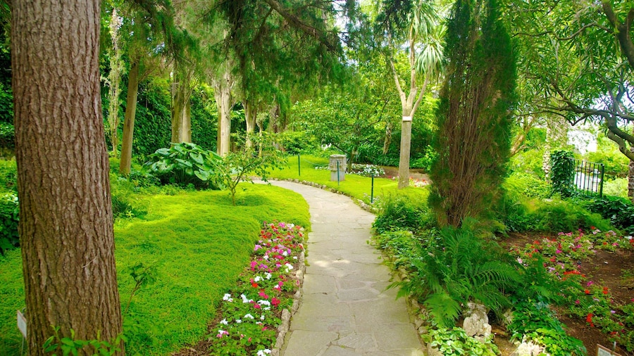 Villa San Michele mettant en vedette scĂšnes tropicales, fleurs et parc