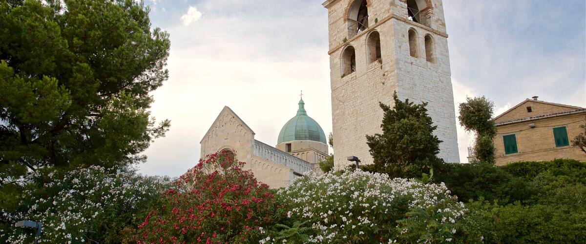 Catedral de San Ciriaco mostrando elementos de patrimônio e flores silvestres