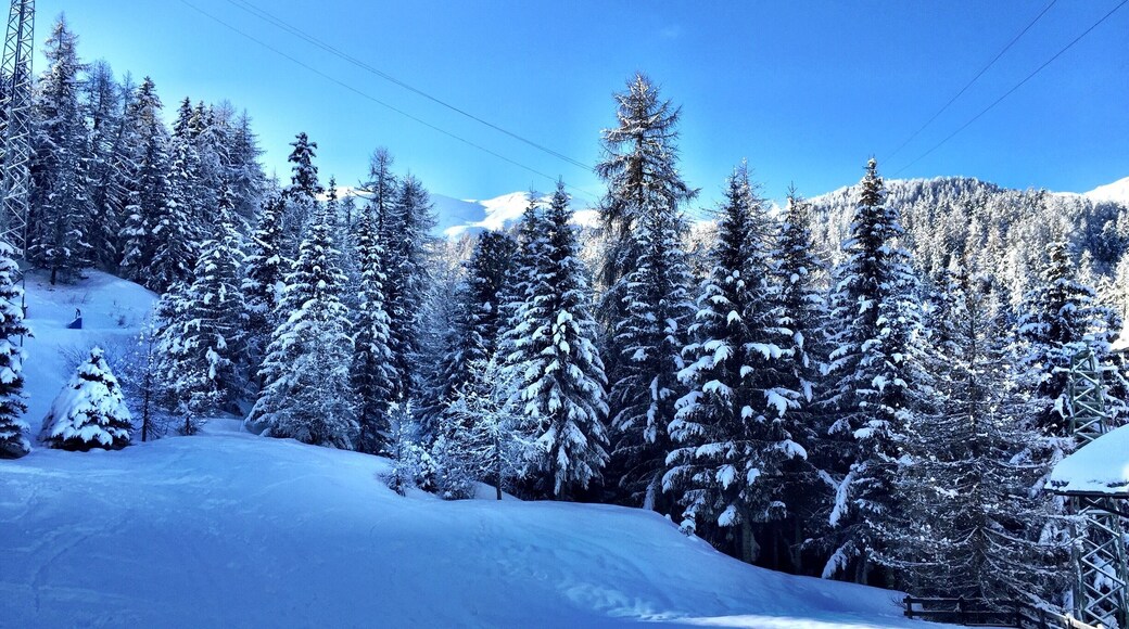 Morning view from the Hotel Plan Bois towards the mountains and main runs. I haven't adjusted the colours on this, the snow really does match the sky!