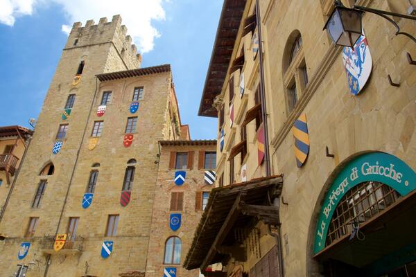 Piazza Grande welches beinhaltet Beschilderung und historische Architektur