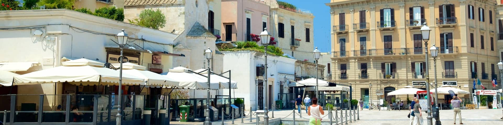 Piazza del Ferrarese featuring vanha arkkitehtuuri