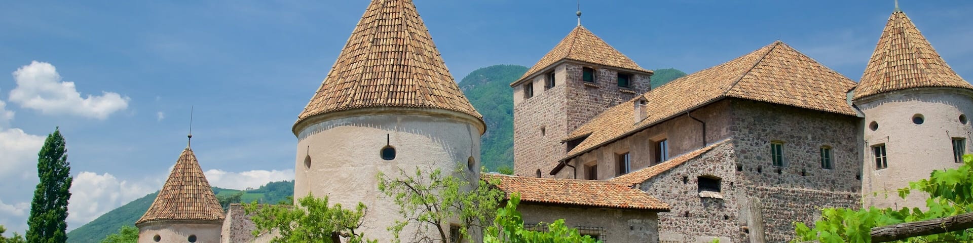 A historic castle with multiple towers and a vineyard in the foreground.