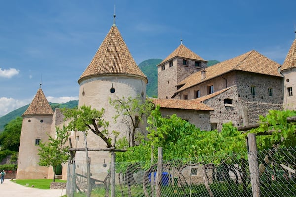 Un castillo histórico con múltiples torres y un viñedo en primer plano.