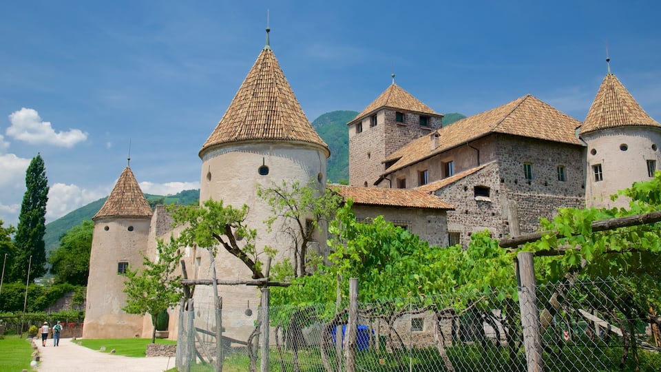 Maretsch Castle showing chateau or palace and heritage architecture as well as a couple