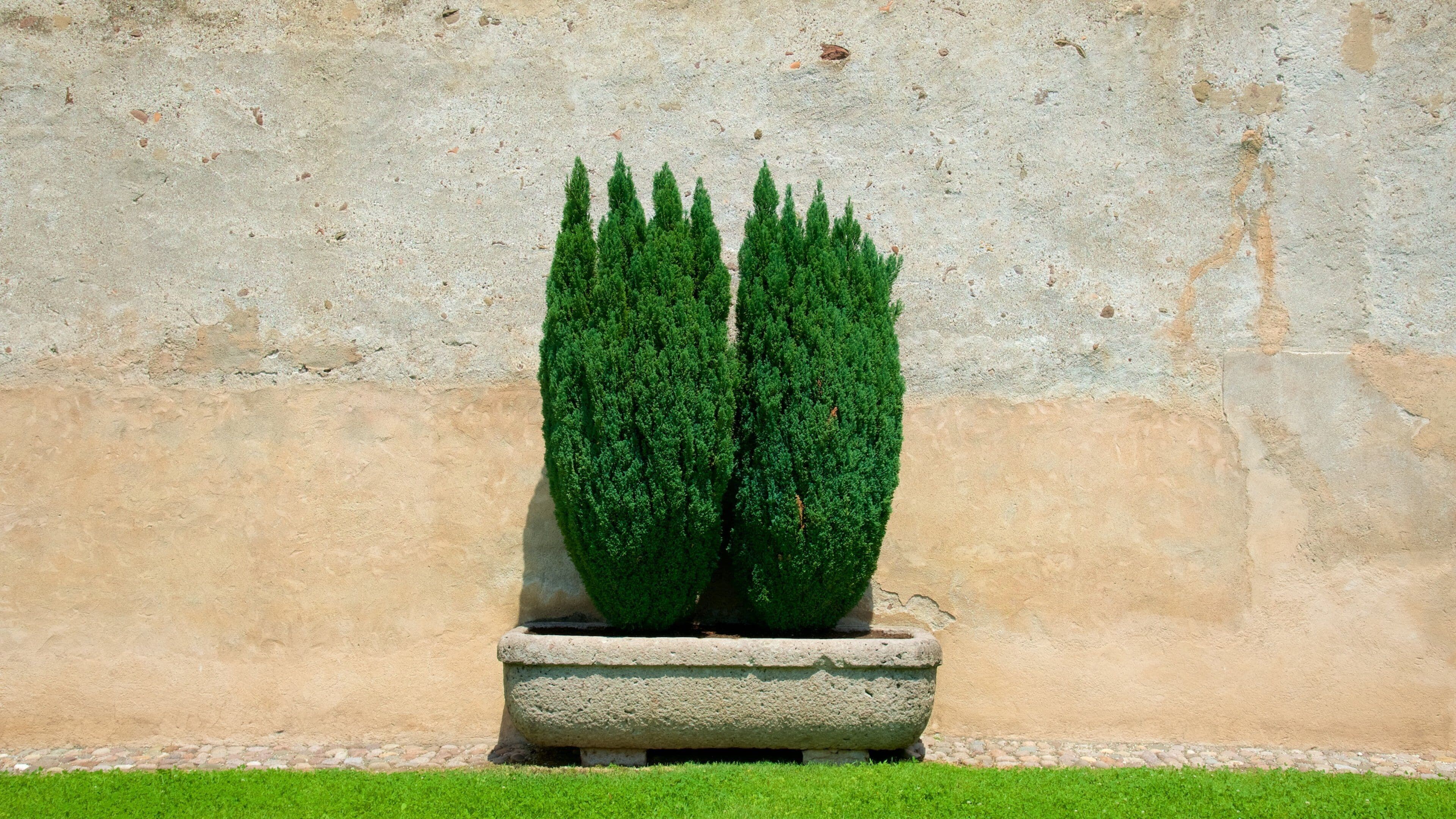 Maretsch slott fasiliteter samt palass