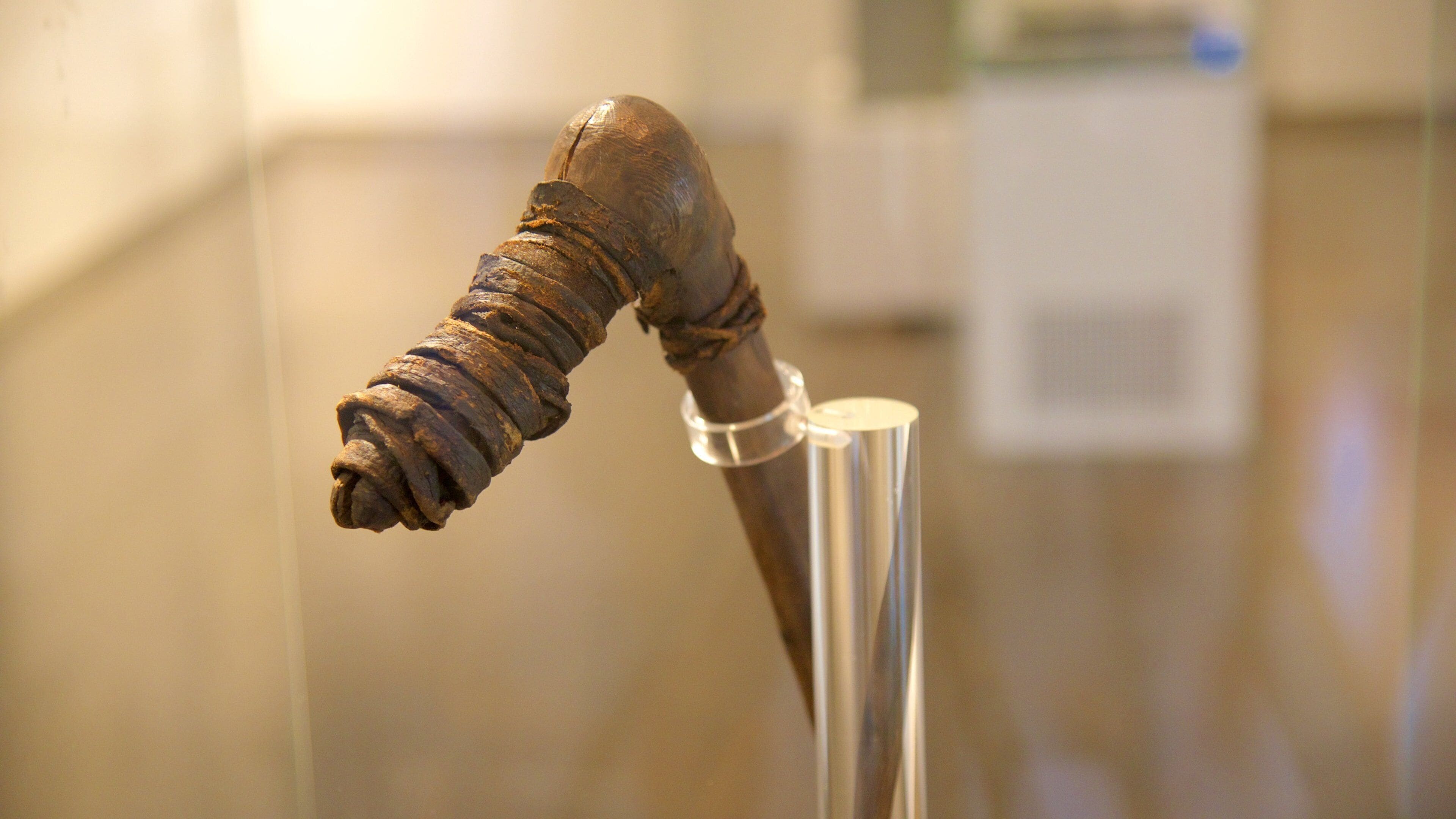 Museo Archeologico dell\'Alto Adige som omfatter interiør