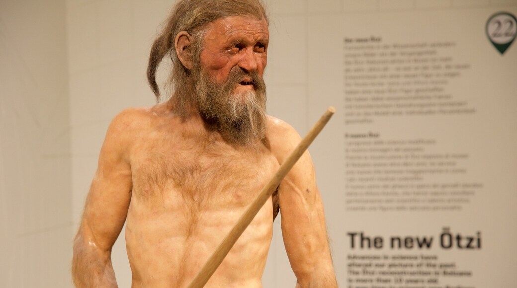 Museo Archeologico dell\'Alto Adige featuring interior views as well as an individual male