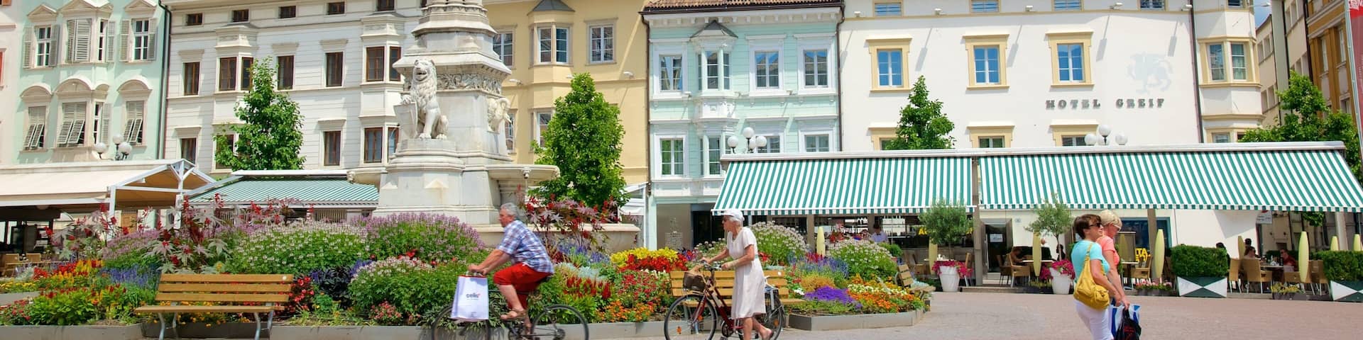 Piazza Walther som viser en statue eller en skulptur, et springvand og en plads eller et torv