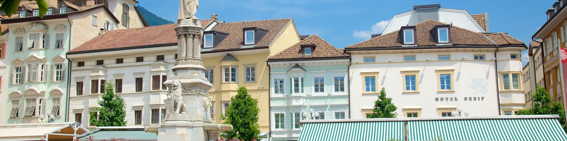 Piazza Walther featuring cycling, a square or plaza and a statue or sculpture