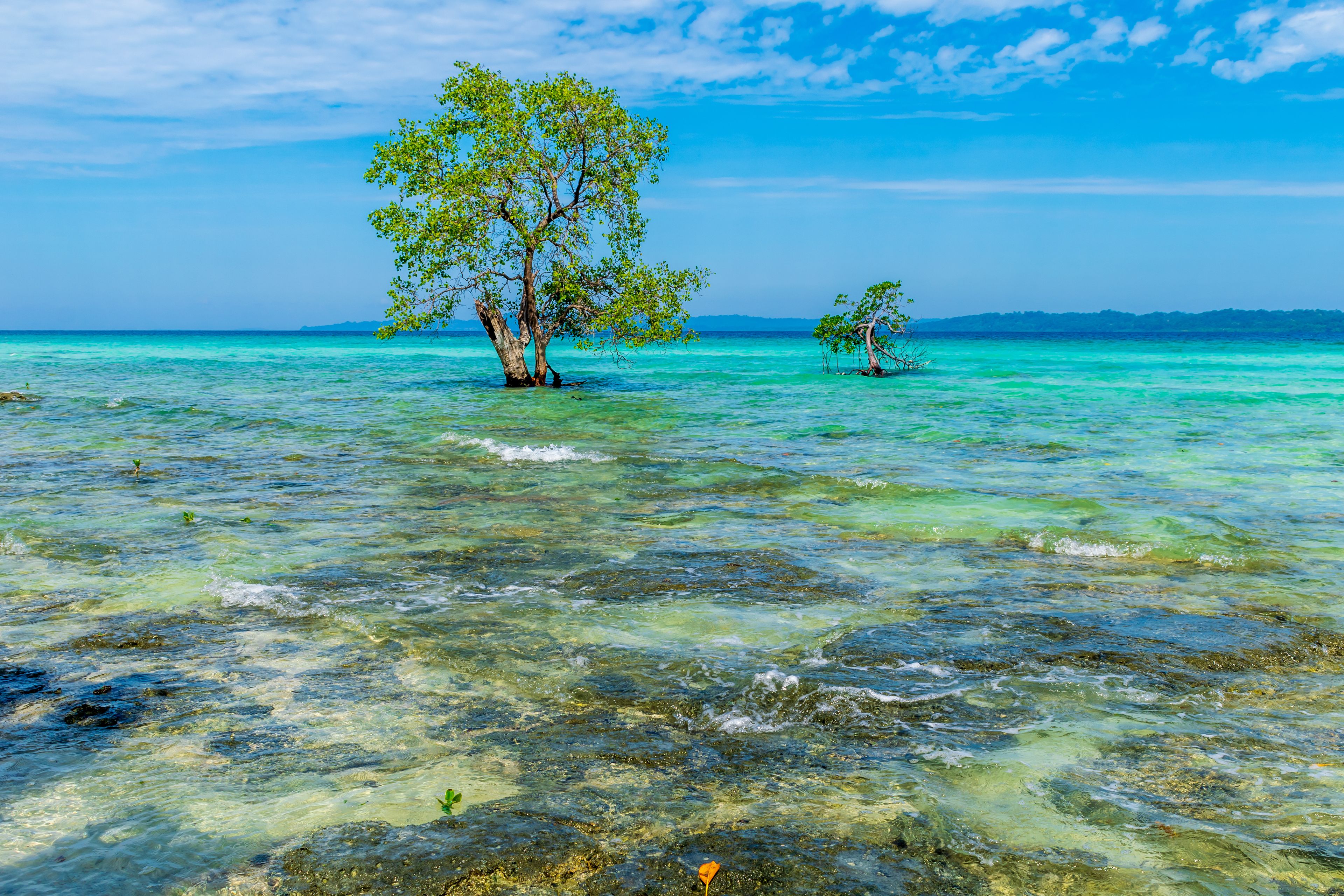 Neil Island
