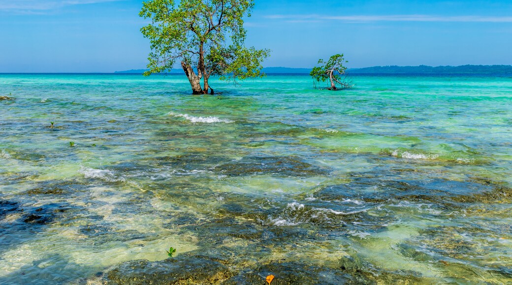 Neil Island