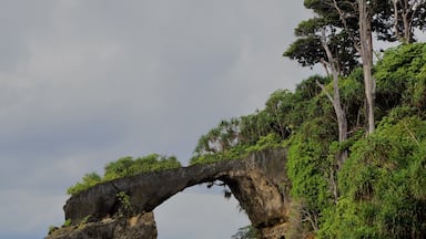 A natural rock arch formation with surrounding greenery and a beach.