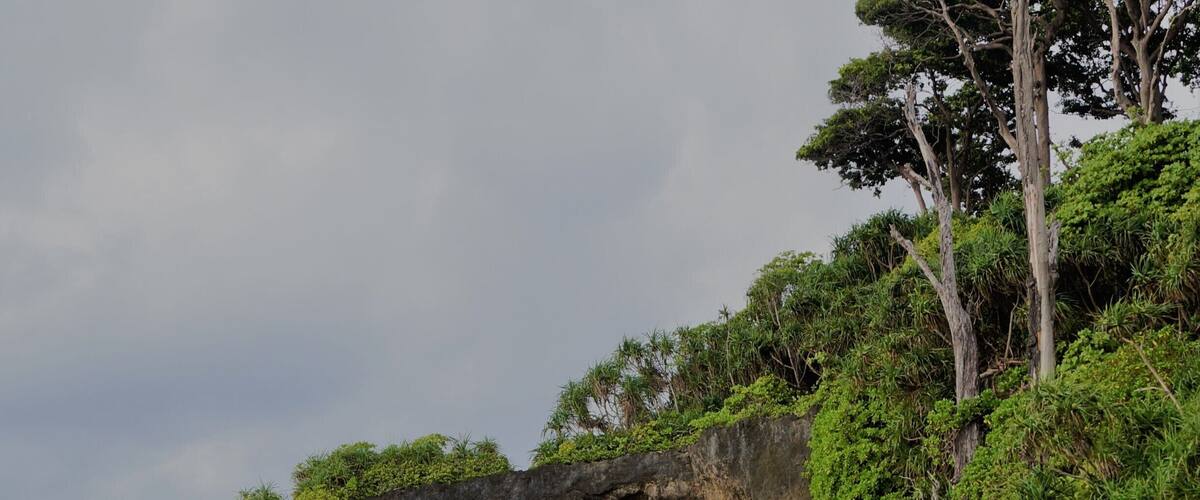 A natural rock arch formation with surrounding greenery and a beach.