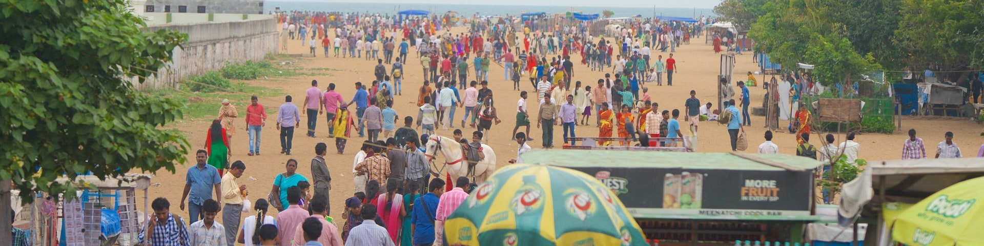 Marina Beach showing general coastal views as well as a large group of people