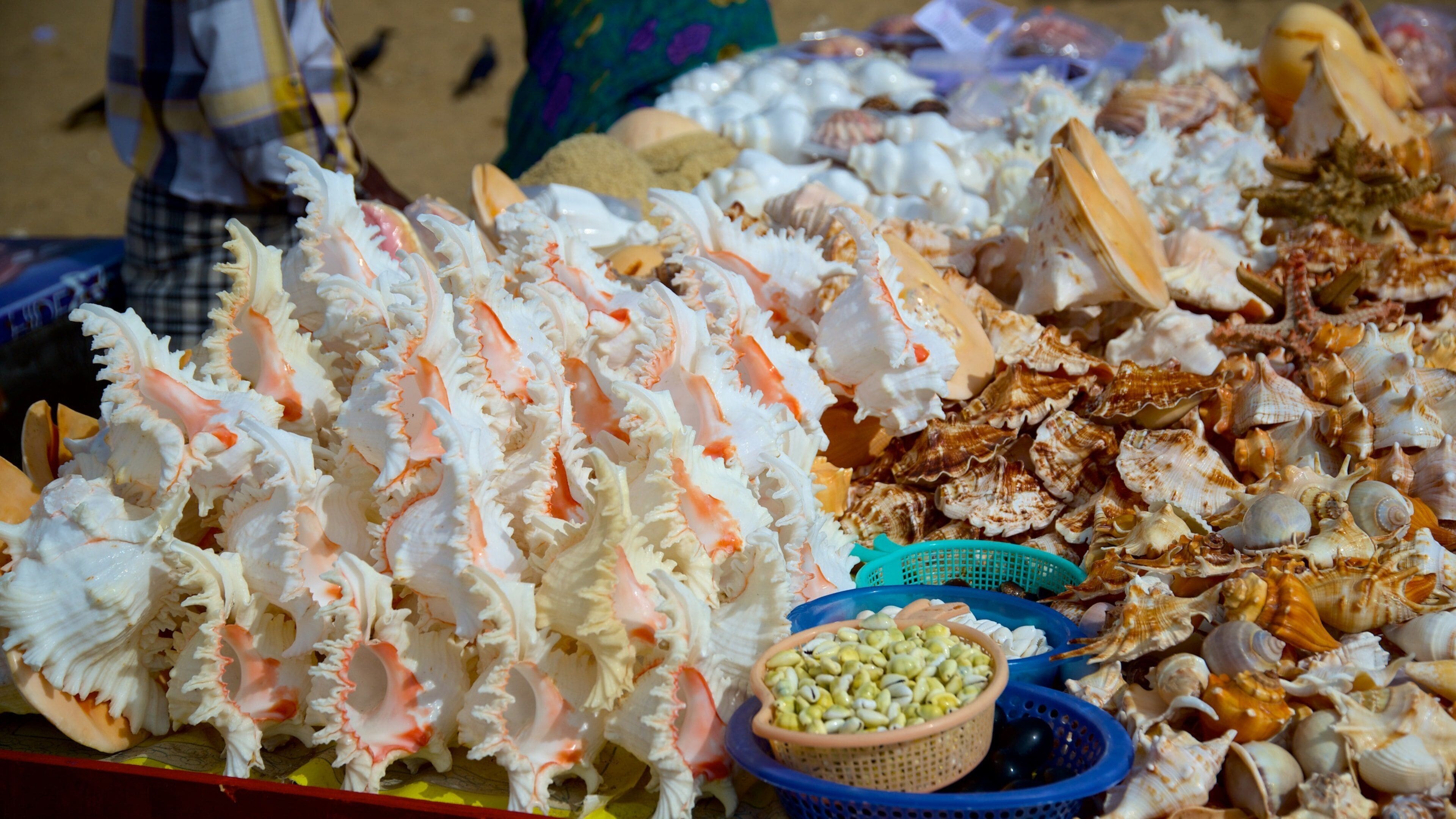 Marina Beach bevat markten