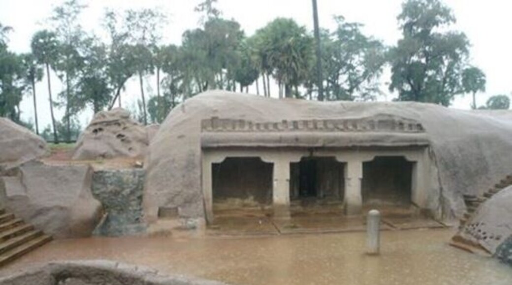 Tiger cave merged in heavy rain water