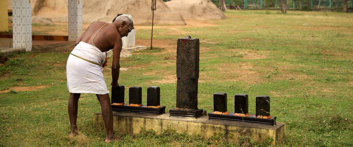 Tiger Cave toont een tuin en ook een man