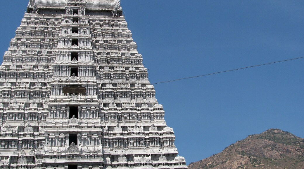 Tempel in Tiruvannamalai