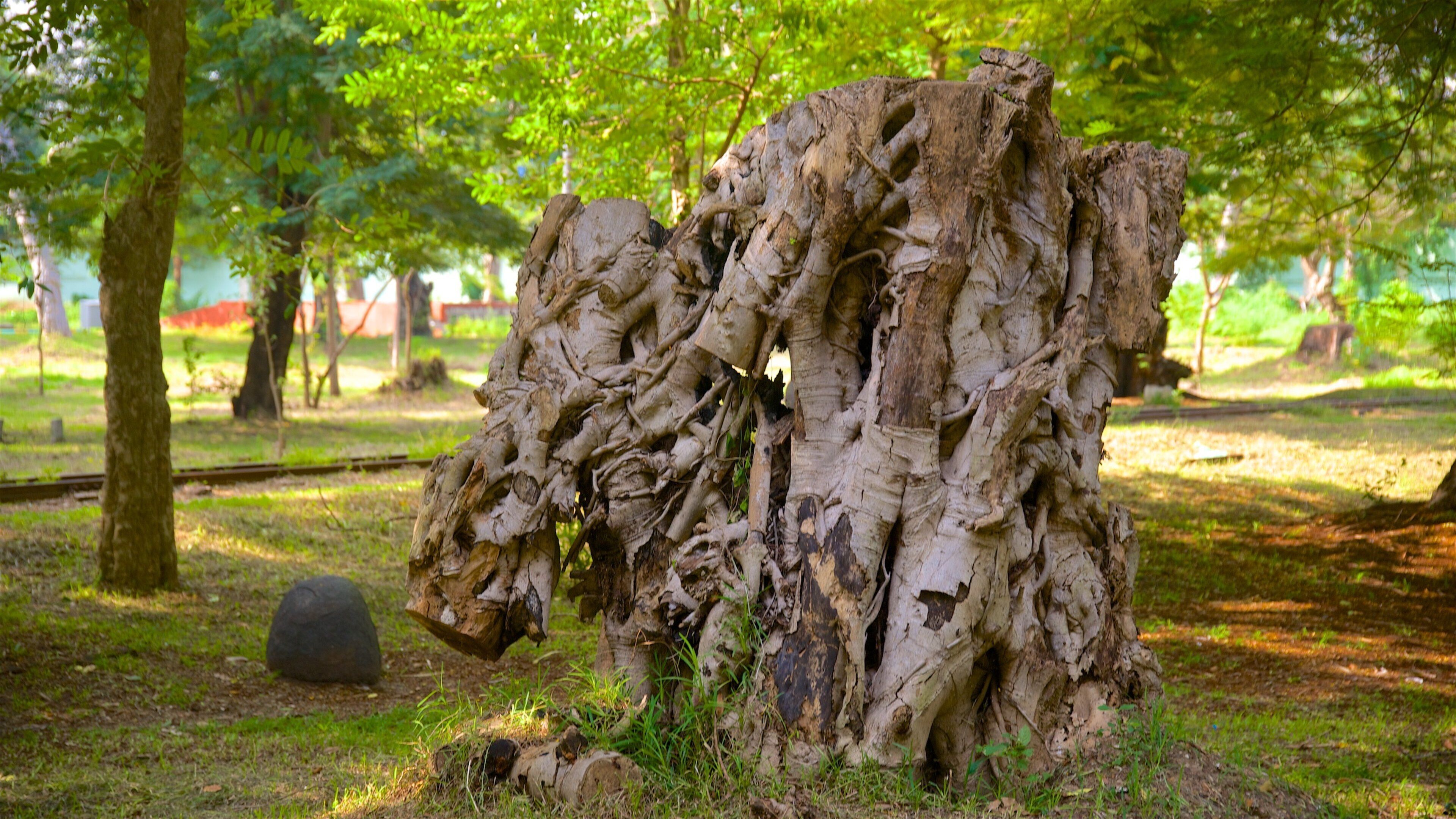 Botanical Gardens que incluye un parque