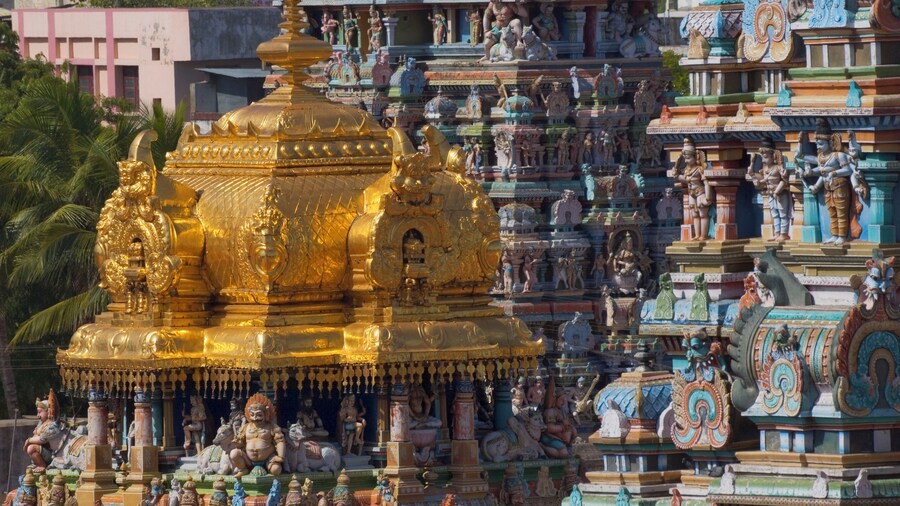 India, Madurai, Sri Meenakshi Temple, carvings and gold roof, close-up