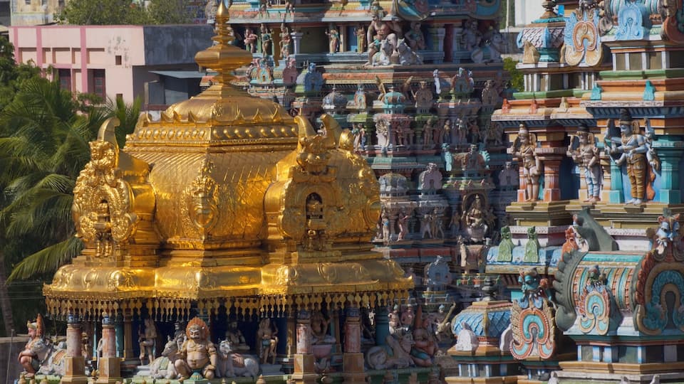 India, Madurai, Sri Meenakshi Temple, carvings and gold roof, close-up
