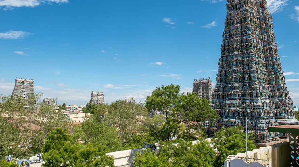 Templo Meenakshi Amman