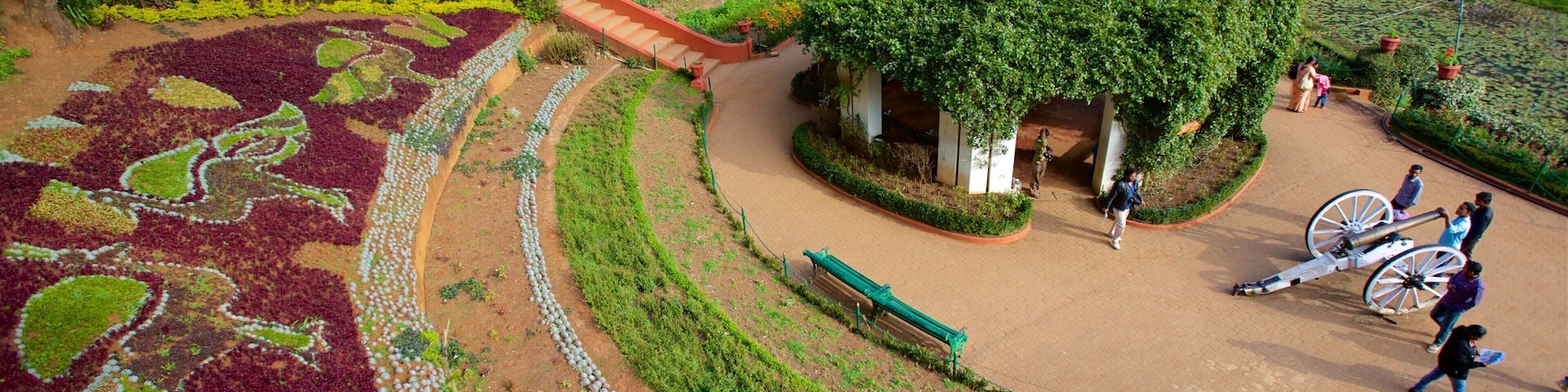 Botanical Gardens showing a garden