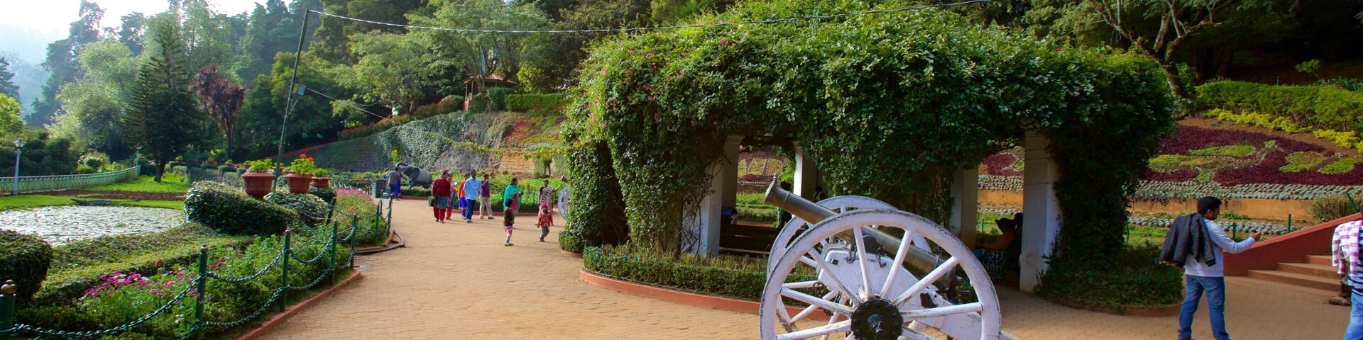 Botanical Gardens ofreciendo jardín
