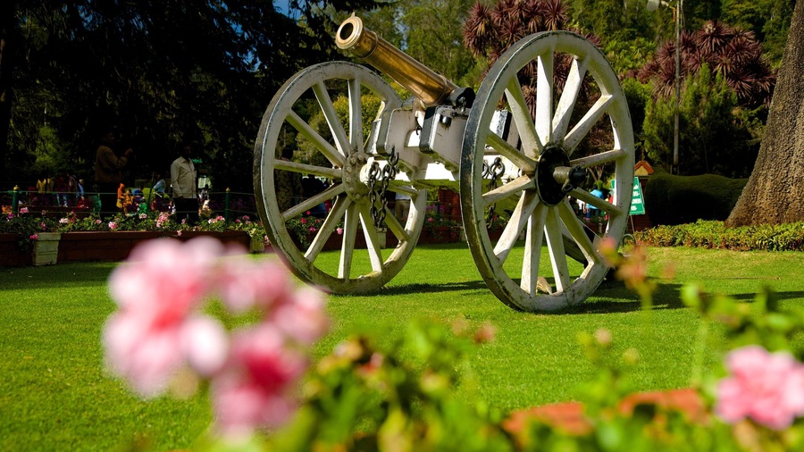 Botanical Gardens which includes a park