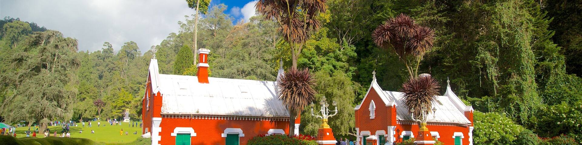 Botanical Gardens som visar en trÀdgÄrd