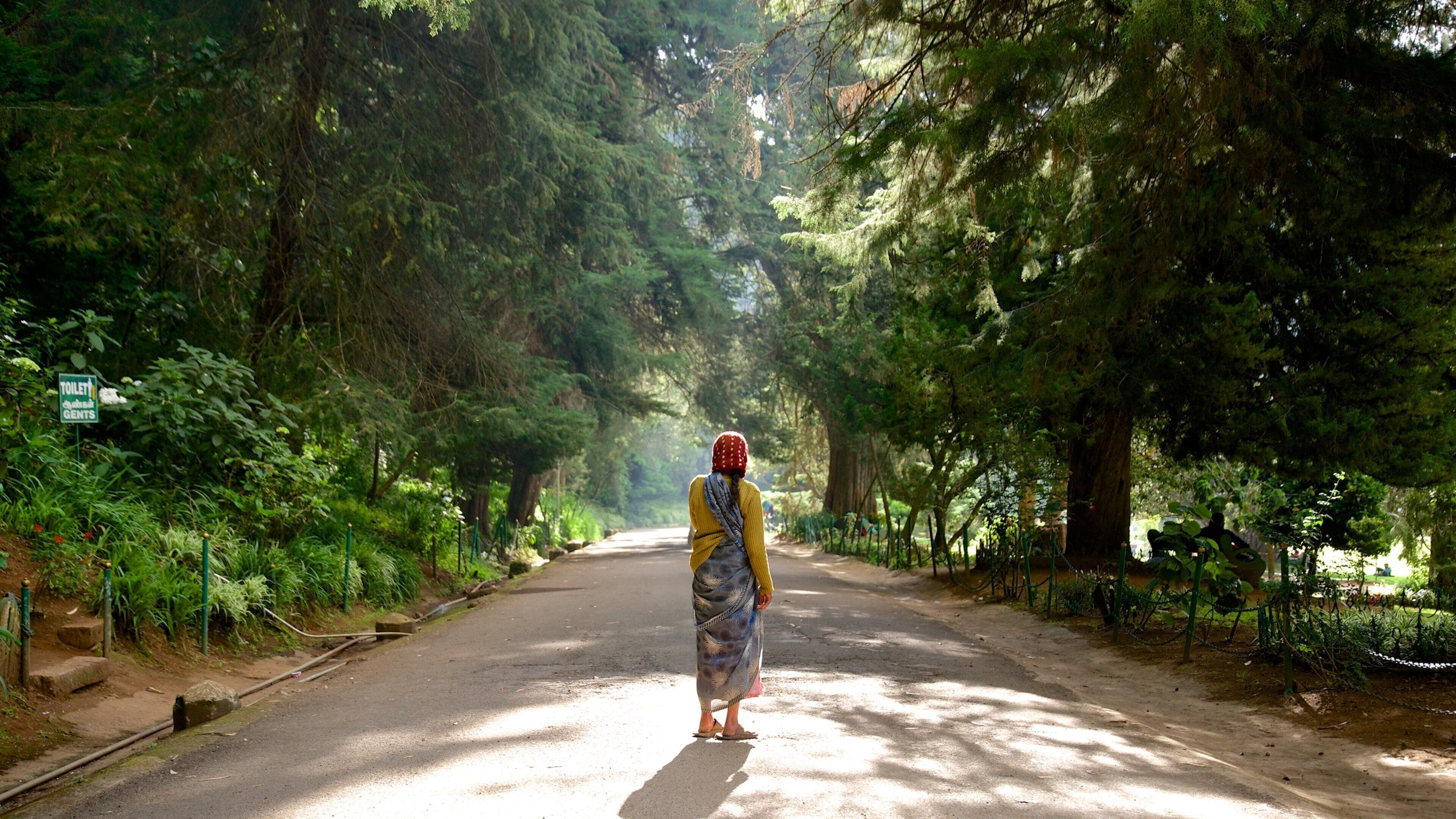 Botanical Gardens showing a garden as well as an individual femail