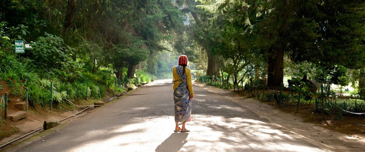 Botanical Gardens showing a garden as well as an individual femail