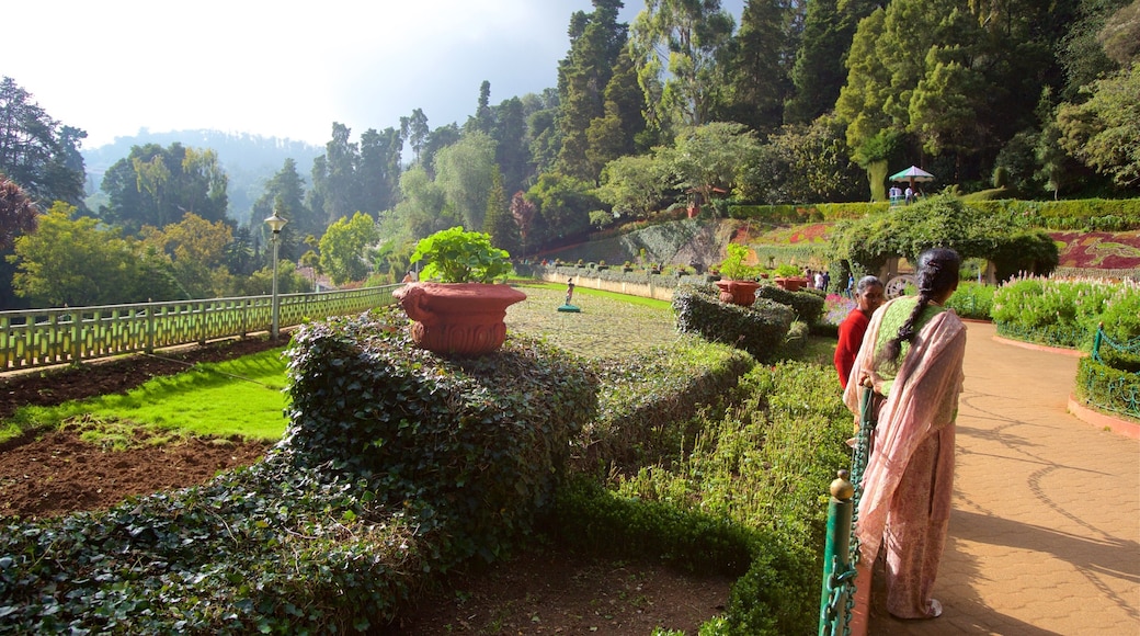 Ooty