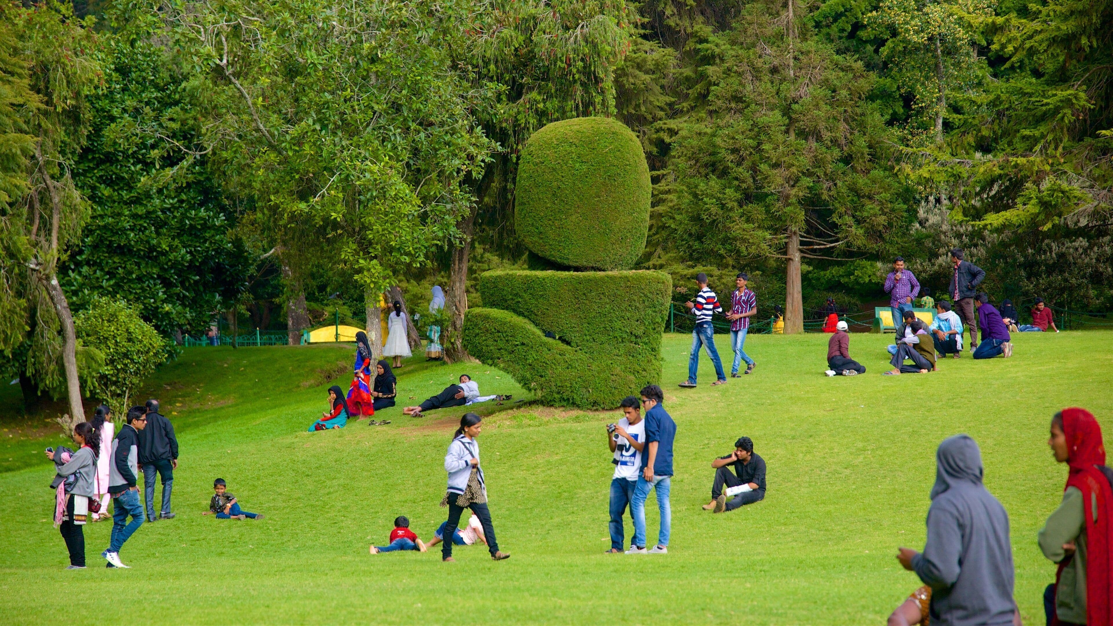 Jardim Botânico mostrando um parque assim como um grande grupo de pessoas