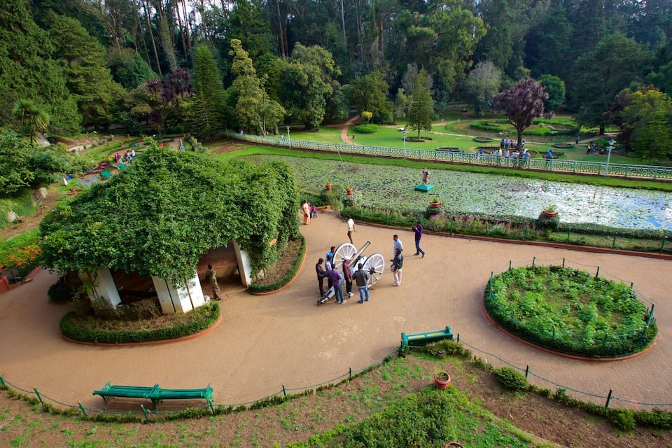 A lush garden with a large tree covered in vines, a pond with lily pads, and a circular flower bed.