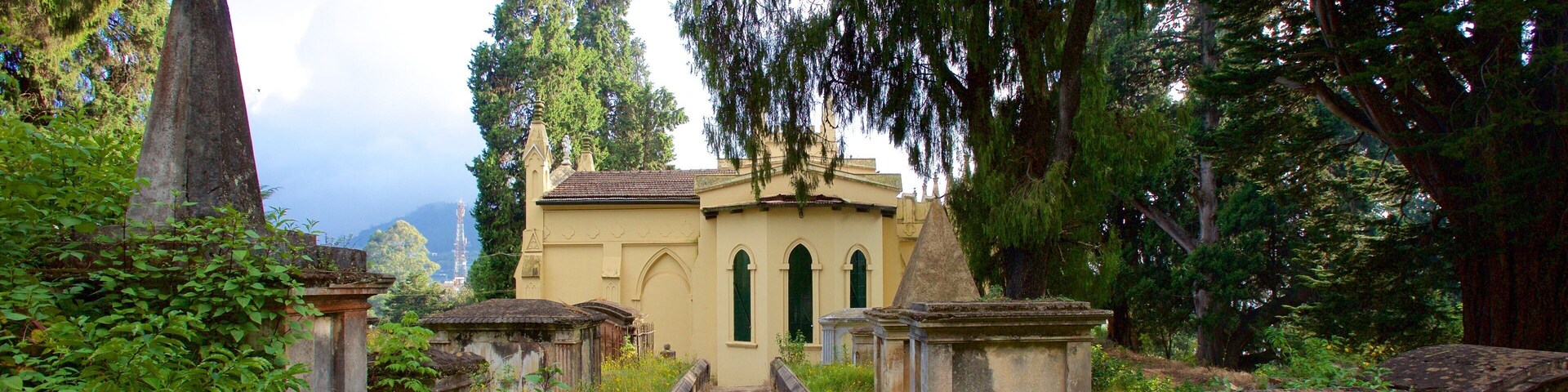 St. Stephen\'s Church showing a cemetery and a church or cathedral