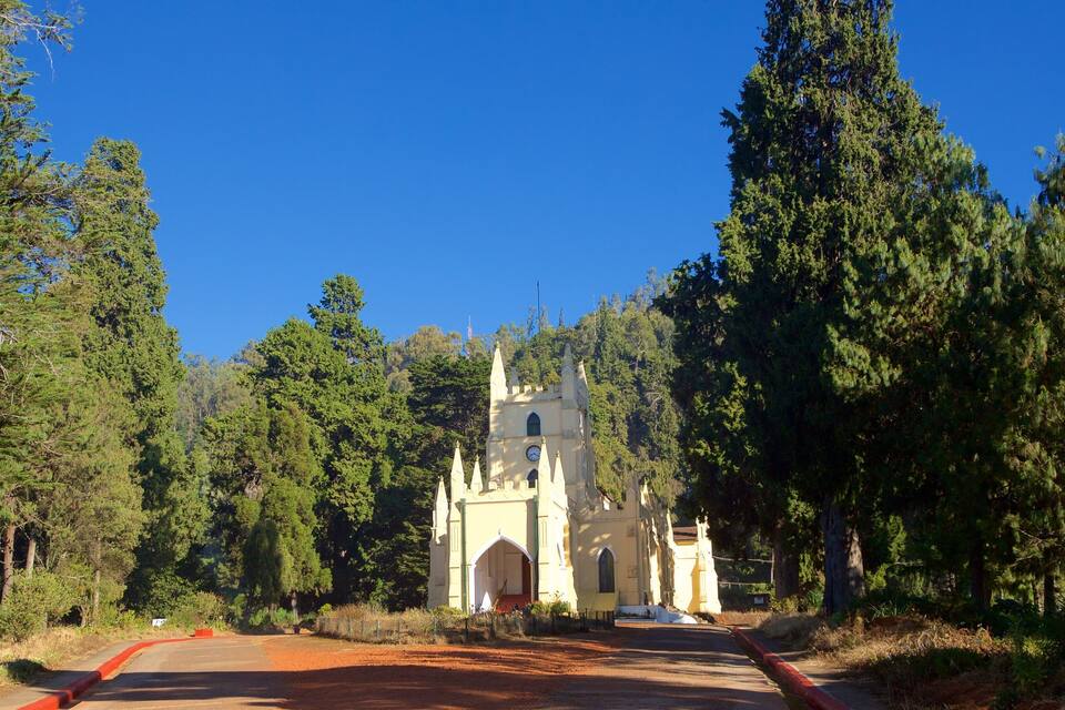 A church surrounded by dense forest.