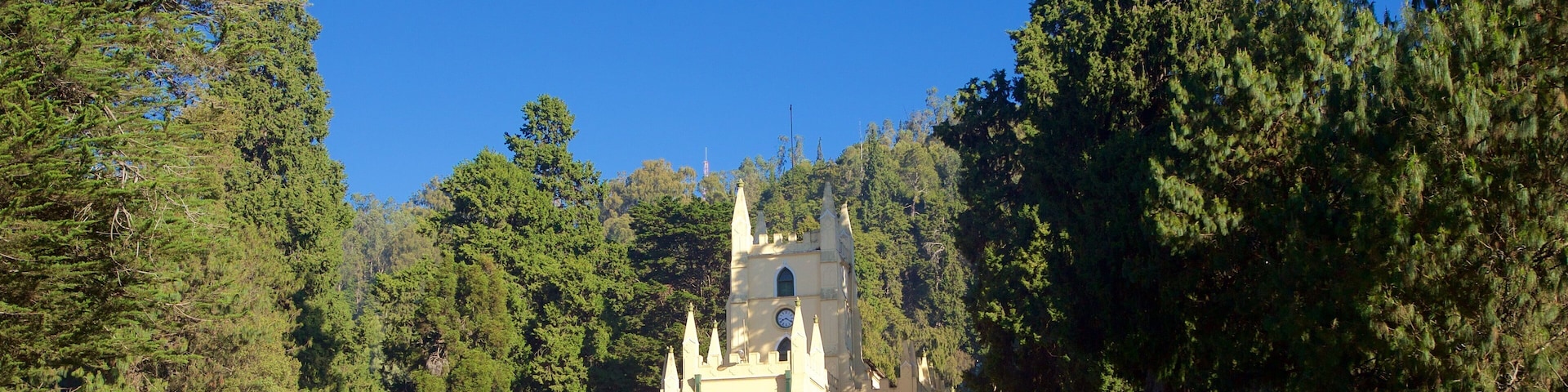 Iglesia de San Esteban mostrando una iglesia o catedral y escenas tranquilas