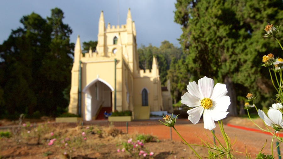 Chiesa di Santo Stefano caratteristiche di fiori e chiesa o cattedrale