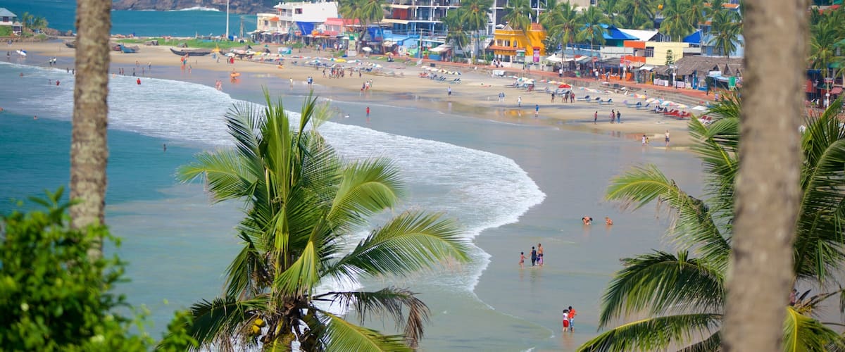 A beach with palm trees, people, and buildings in the background.