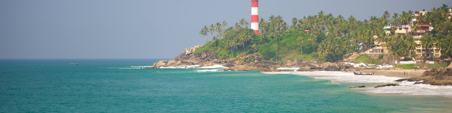 Playa Vizhinjam ofreciendo vistas generales de la costa