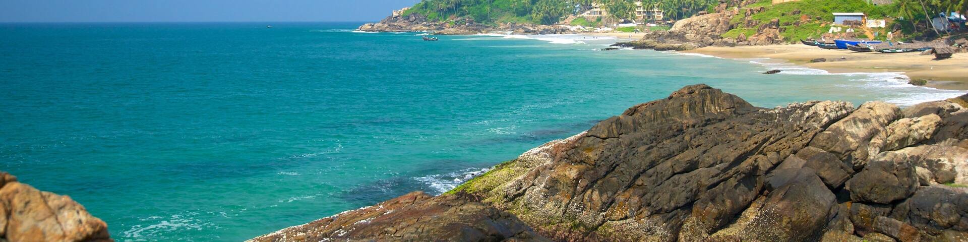 Vizhinjam Beach showing general coastal views
