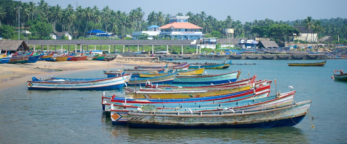 Vizhinjam Beach featuring general coastal views