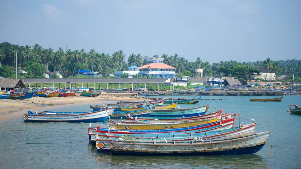 A coastal scene with numerous colorful boats docked at a pier, a beach, and a coastal police station in the background.