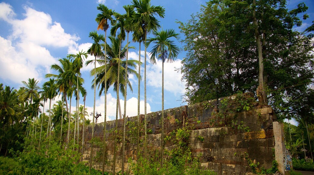 Padmanabhapuram Palace which includes a ruin