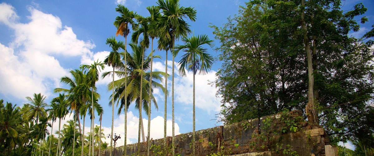 Padmanabhapuram Palace which includes a ruin