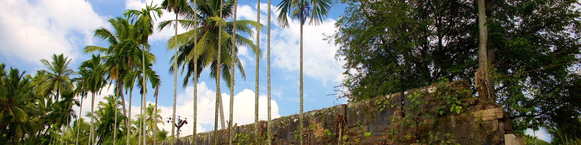 Padmanabhapuram Palace showing a ruin