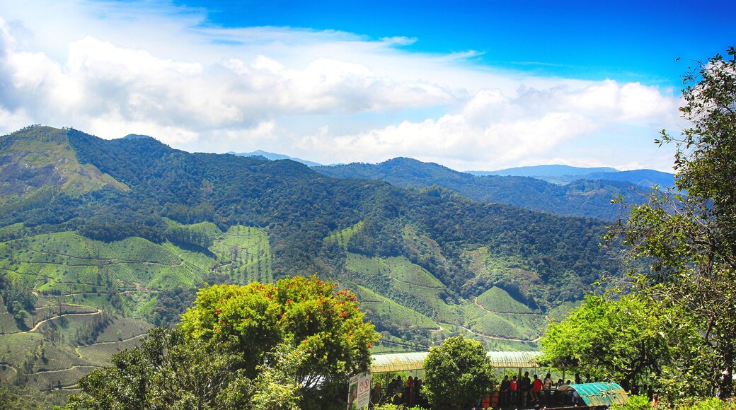 Parque Nacional Eravikulam