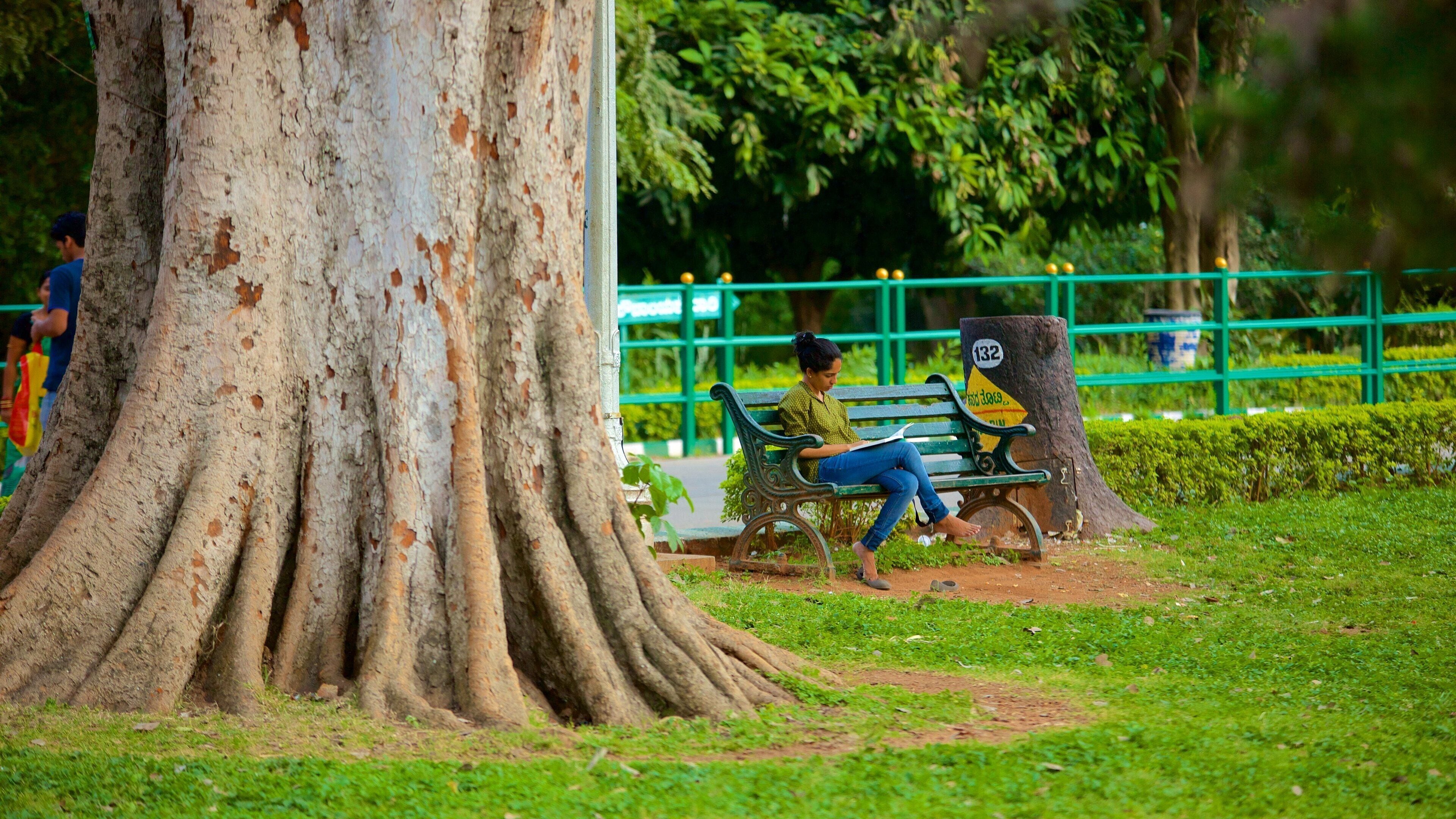 ラールバーグ植物園 どの含み 公園 及び 女性 (個人)