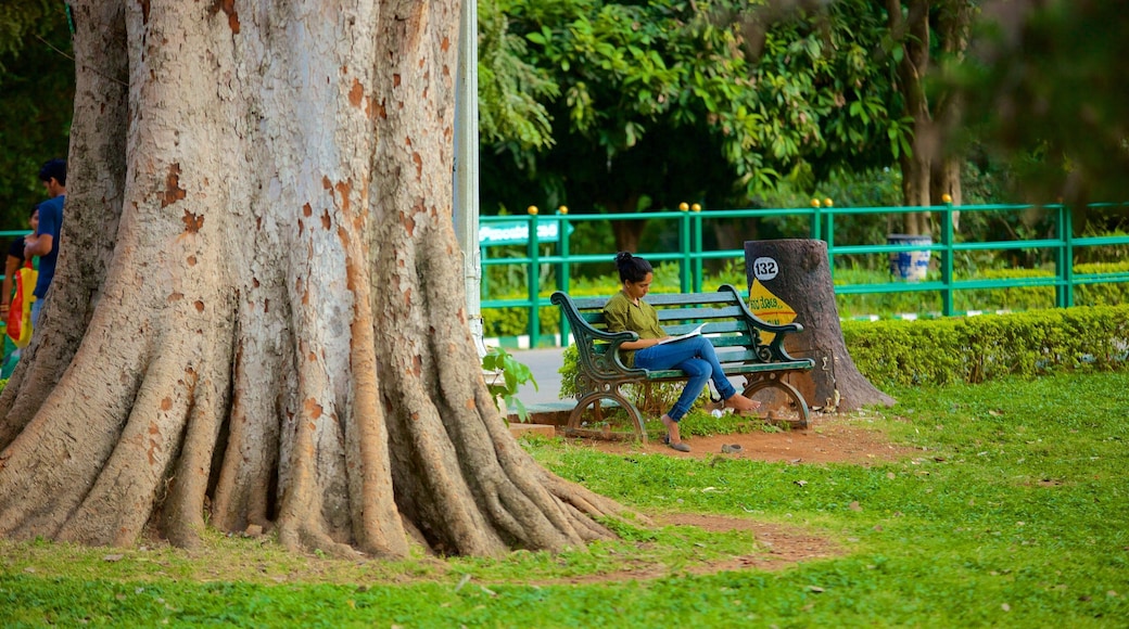 Lalbagh botaniske hage som viser park i tillegg til en kvinne